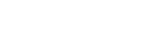 NSNetwork-KO-White_small
